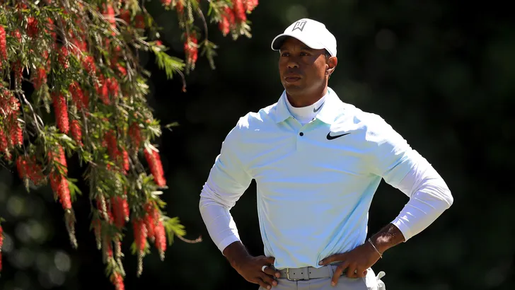 tiger woods