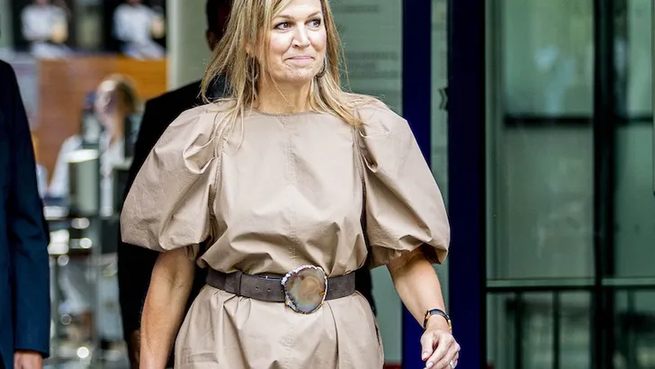 Máxima's H&M-jurk: alle details