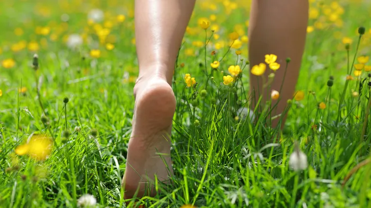 blote voeten gras blotevoetenpad 