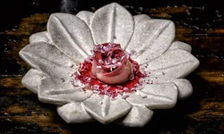 Hanami menu Taiko