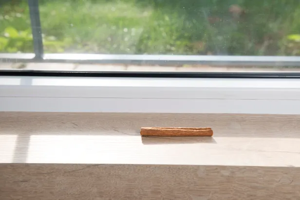 Kaneelstokje tegen mieren