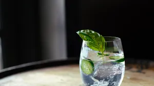 gin tonic