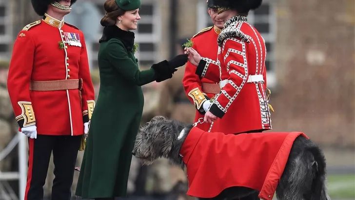 Kate en William op St. Patrick's Day, de leukste beelden