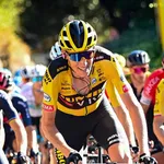 robert gesink