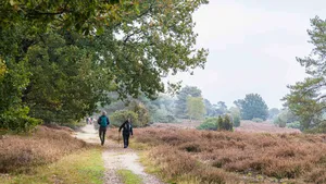 Hünenweg
