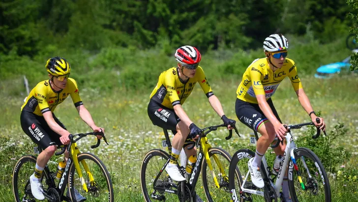 bruyneel en hincapie bekritiseren visma