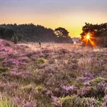 Hotspots in Drenthe