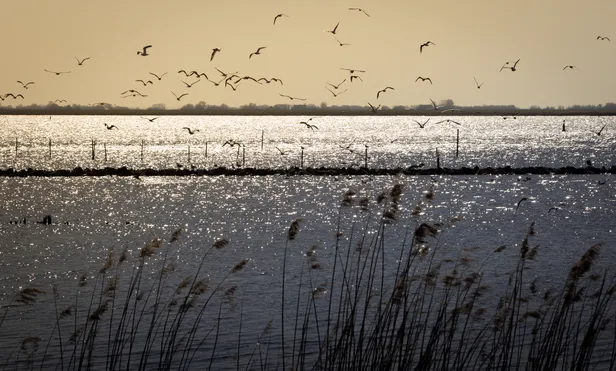 Prachtig uitzicht over het Lauwersmeer op de grens van Groningen en Friesland