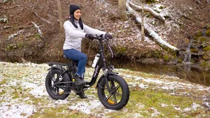 fatbike