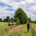 Wandeling
