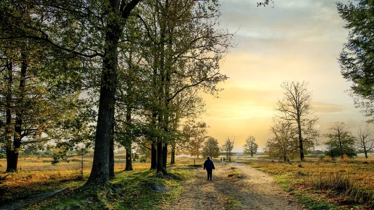 Hikers on a sandy path in the Aekingerzand landscape, part of the Drents-Friese Wold National Park, with warm tones of autumn colors and the light of the setting sun in a romantic atmosphere