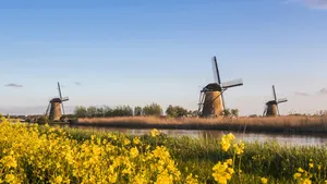 Kasteel Groeneveld toont schilderijen van Karin Boers