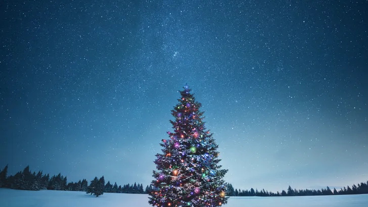 Holiday background with illuminated Christmas tree under starry night sky.