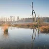 Ontdek het Bargerveen in Drenthe: 'Het is hier ieder seizoen anders' | Noorderland
