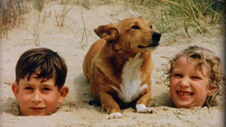 honden prins charles en prinses anne