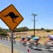 waarschuwingsbord voor kangeroes in de tour down under