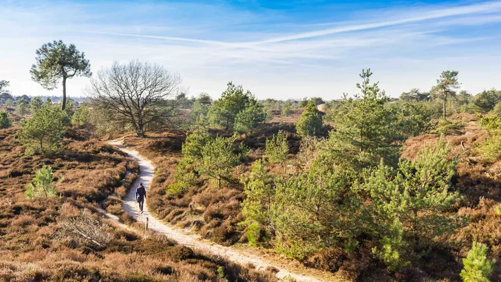 Mooiste wandelingen