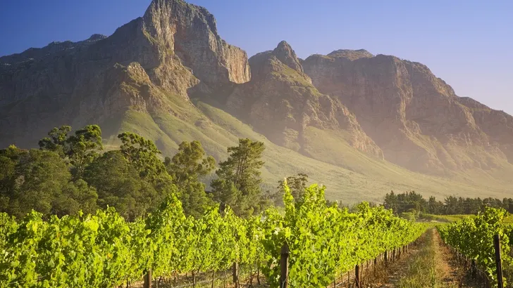 Dít zijn de nieuwe 5-sterren Zuid-Afrikaanse wijnen