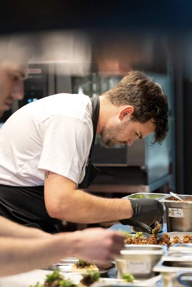 Papillon strijkt neer in Amsterdam-noord.