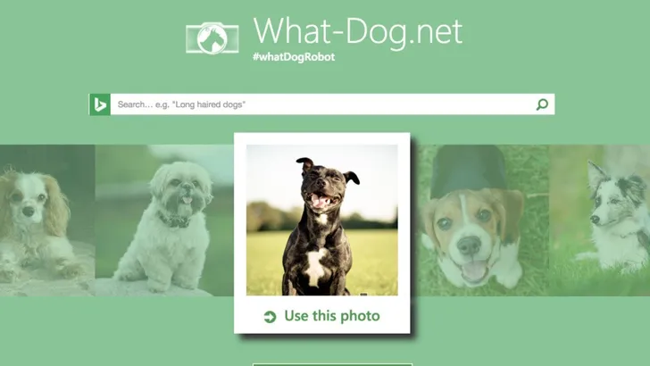 Deze app wil je hebben! BN'ers als honden