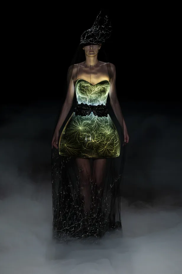 Fractal Universe-look 