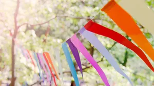 Closeup of a colorful party banner tied between trees.