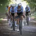 belgen op het wk gravel die aan het bosfietsen zijn in het bos