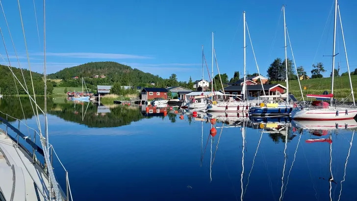 Bladstille ochtend in Häggvik