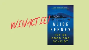 Alice Feeney tot de dood ons scheidt