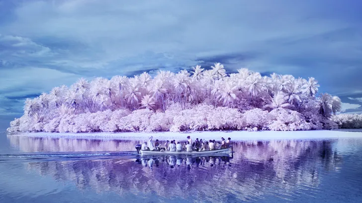Window on the world: Eiland van de kleurenblinden