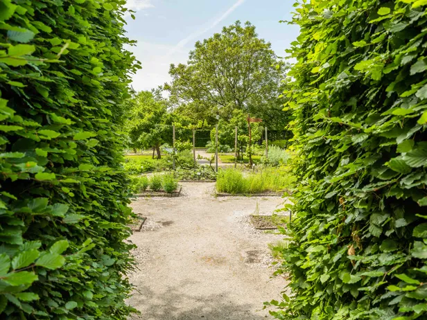 De Kruidhof in Buitenpost