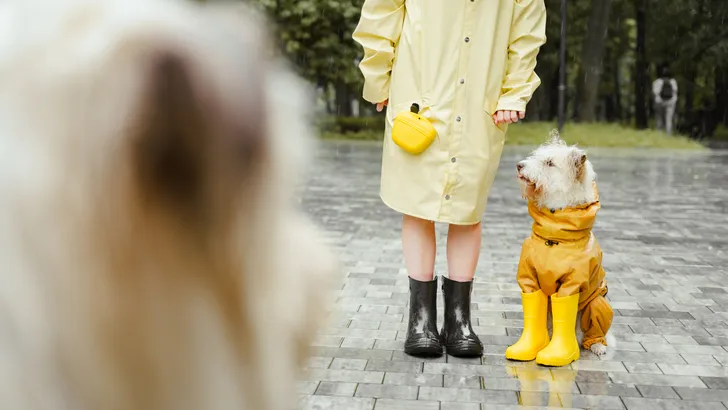 Geen hondenweer, maar een geluksboost: dit is waarom wandelen in de regen zo gezond voor je is
