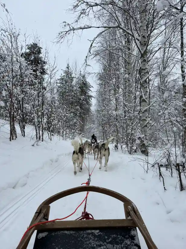 Sanne ging met Uber ook naar andere fantastische activiteiten, zoals een husky ride 