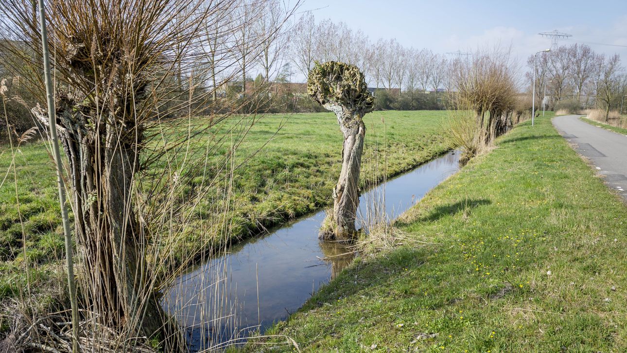 27/6 Wandelexcursie langs een oude meander van de Hunze Noorderland