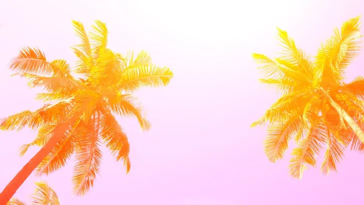 beste terrassen nederland