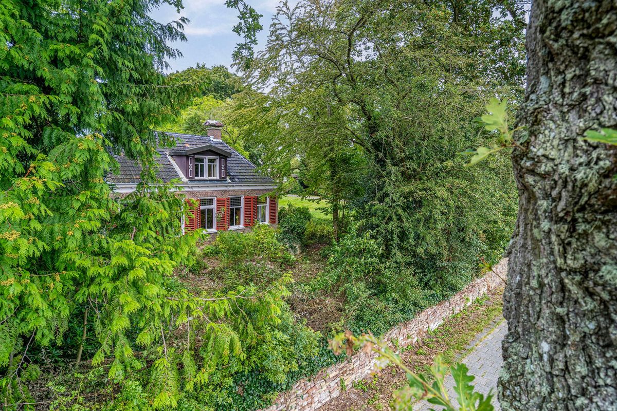 Parel op Funda: het huis van kunstenaar Louis le Roy staat te koop