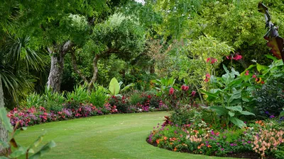 Hoe maak je meer privacy in je tuin zonder dat het ongezellig wordt?