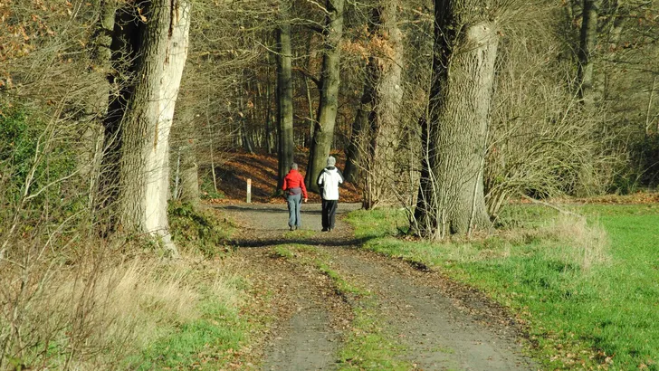 Wandelroutes