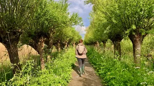 In je eentje wandelen is een verrijkende ervaring