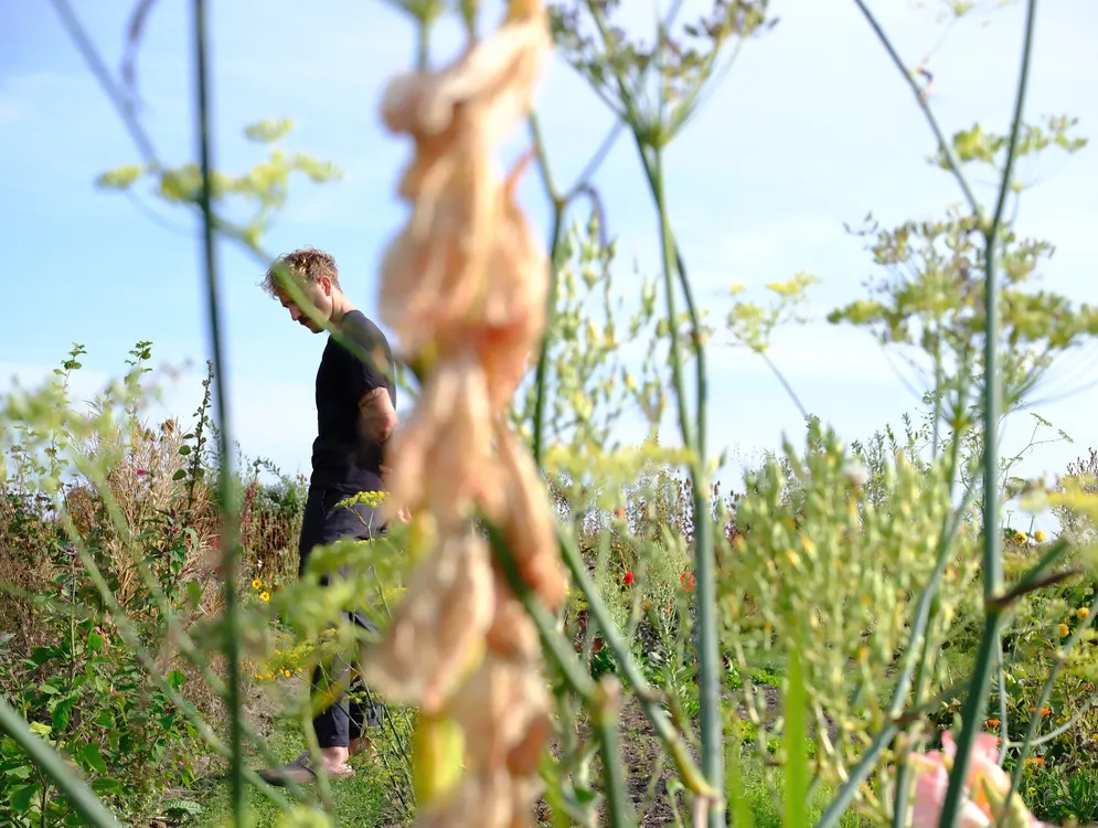 Foto 5 van Branding & Citrus