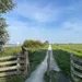 Friesland