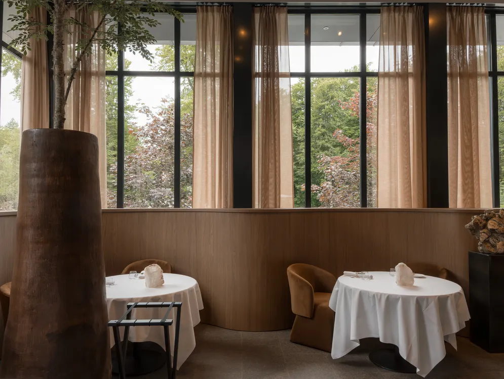 Foto 6 van Wild Atelier