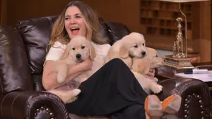 Drew Barrymore en puppy's