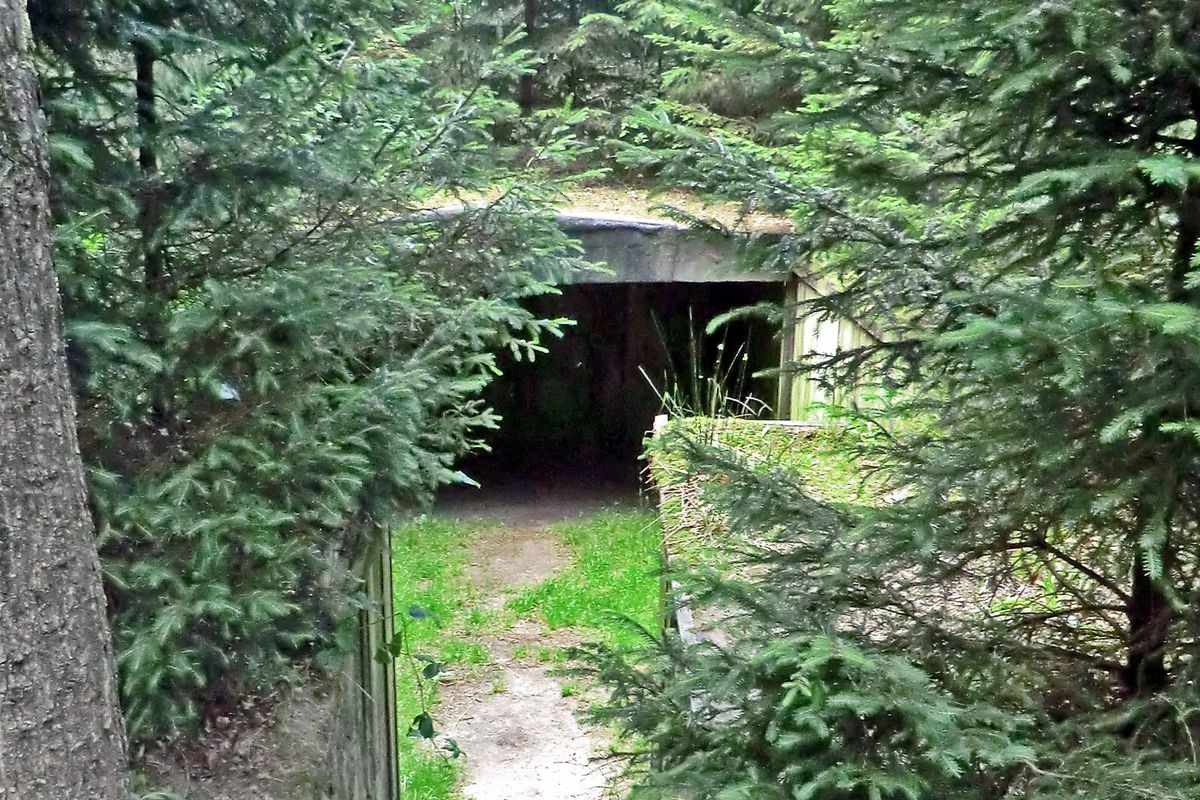 Zwijgen als je gepakt wordt: het onderduikershol in het Valtherbos