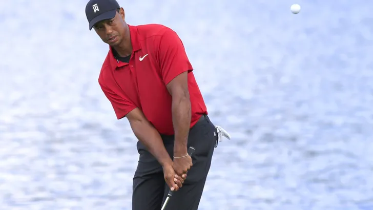 tiger woods