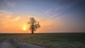 zonsopgang winter zonnewende