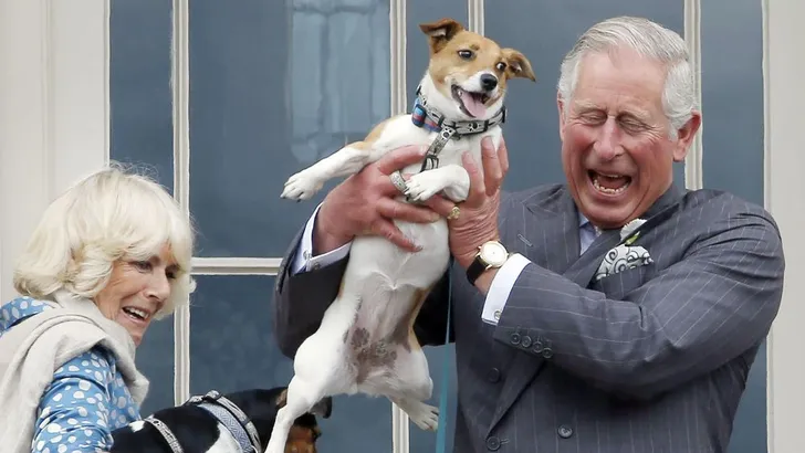 Good Boy! De 100+ honden van de Windsors