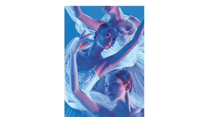 BALLETKLASSIEKER La Bayadère