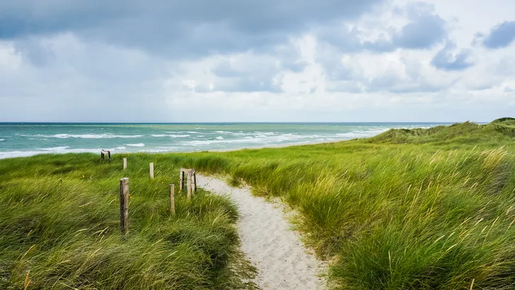 duinen wandeling