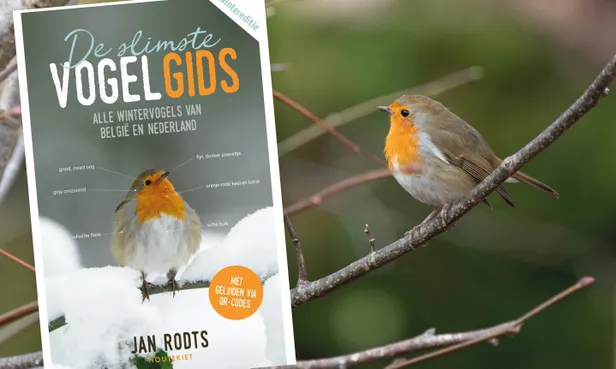 De slimste vogelgids